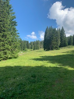 Serrada e dintorni